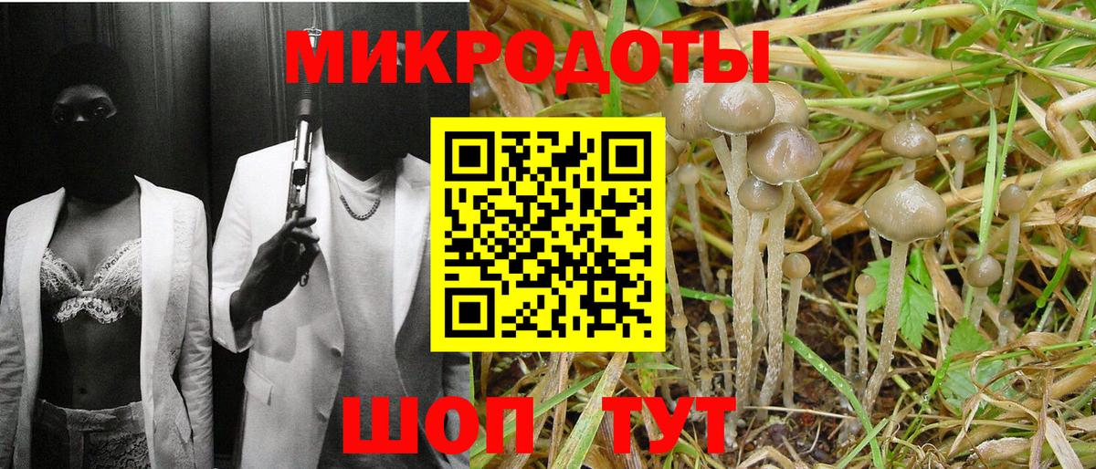 Ипатово  Галлюциногенные грибы мухоморы  Вход с VPN 