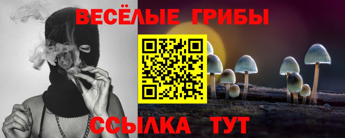 Галлюциногенные грибы GOLDEN TEACHER Ипатово